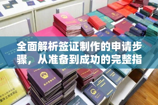 和布克赛尔全面解析签证制作的申请步骤，从准备到成功的完整指南